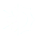 Footer Icons